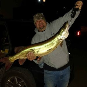 Meet your Posher, Carl